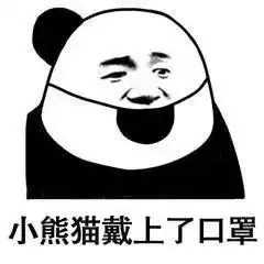 vue表情包小熊猫