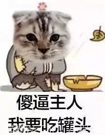 猫沙雕表情包暴雨