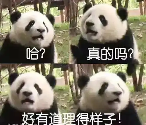  每年租金700万只租不卖的中国特产,逼疯了多少老外