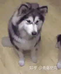  日剧里口头禅里的到底啥意思