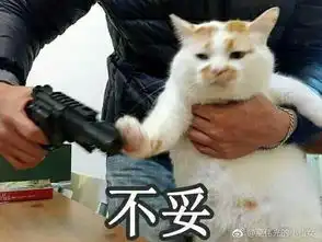 猫咪冲刺表情包星爷