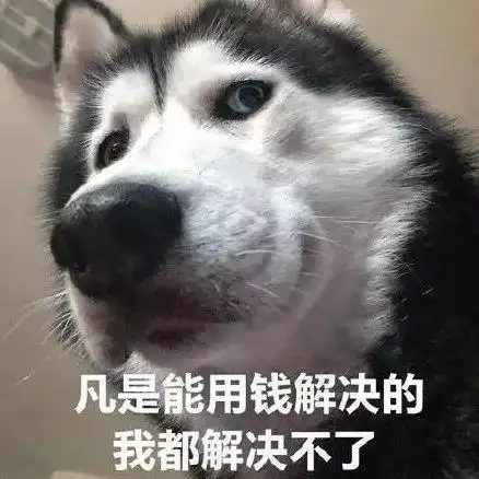  沙雕狗狗表情包来袭,赶紧收起来
