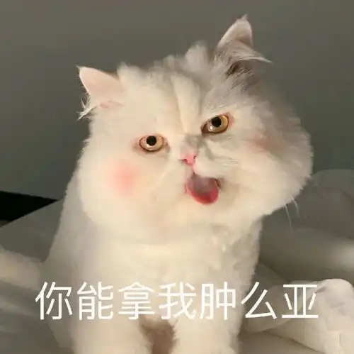  沙雕表情包64.0