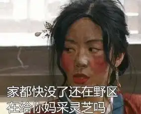  武林外传表情包吐槽王者荣耀队友系列打团跑这么快去参加葬礼吗