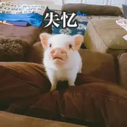  山之川海鲜放题万柳店