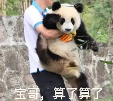  鸡哥算了算了无水印表情包鸡哥算了算了表情包下载原图