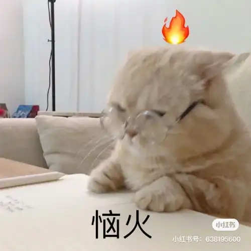  鸽鸽豆角干太难吃了