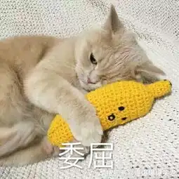 爆笑段子我拒绝了土豪送我的兰博基尼超跑,原因很现实 爆笑段子我拒绝了土豪送我的兰博基尼超跑,原因很现实