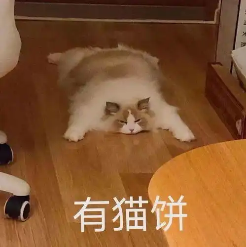 猫沙雕表情包焦虑