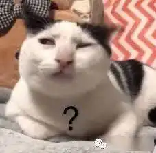  没想到特朗普的御用话筒居然是它相声演讲唱歌录音十项全能话筒