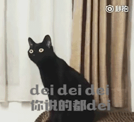 第一次听马勒音乐的黑猫,贡献了一波沙雕表情包 第一次听马勒音乐的黑猫,贡献了一波沙雕表情包