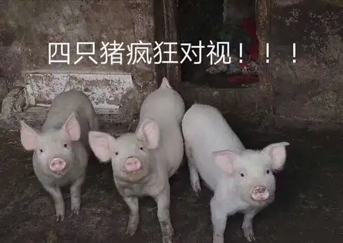  池塘中浮尸漂一夜被捞起时竟在打呼
