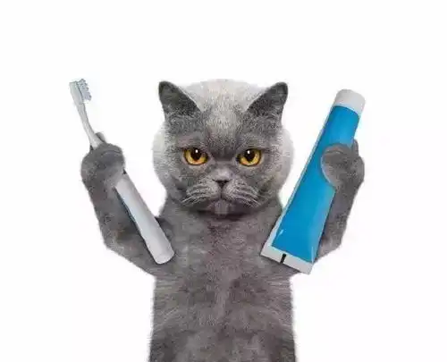  乱七八糟的表情包,我可太喜欢了