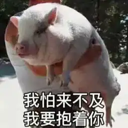  虎扑体育社区