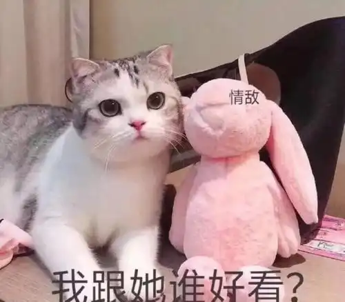  这些星座不爱表达,但爱你爱到骨子里