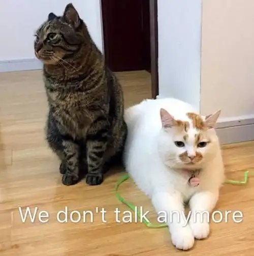  幽默笑话,妈妈那是什么缆车,怪不得走得那么慢,原来是懒车