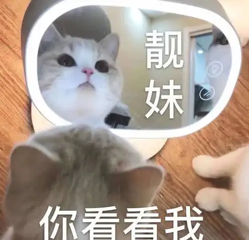  表情包抖音热门圣诞节撒礼物表情包