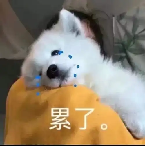  如何让女生开心