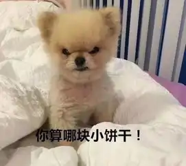  表情包大战弹药补充处