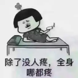  视频直播全集资料大全yy官方