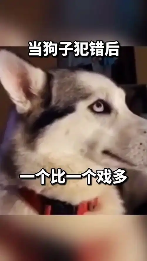  五一快乐搞笑视频搞笑配音