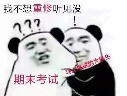  考试复习表情包