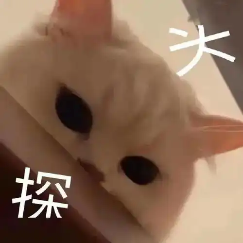  北京体育大学的体育差生竟是我自己