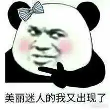  能分享一些有意思的熊猫头表情包吗