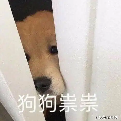  热门表情包图片出来玩,你说这话,我都不知道怎么接