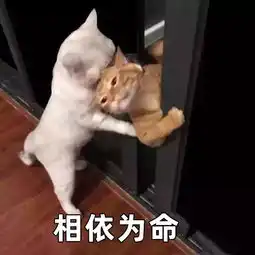  假如你对象是项目经理,请不要