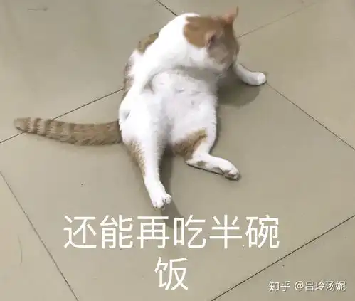  有没有沙雕橘猫的头像或表情包