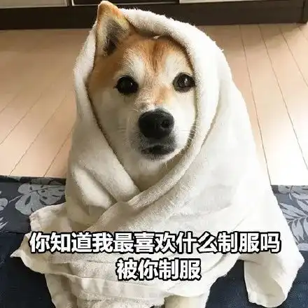  接收你的土味情话及表情包