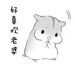  参见老婆大人表情包合集