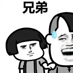  在台风中抢救出来的猪,最终成了网红表情包
