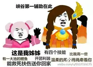  王者荣耀表情包大乔小乔堆糖,美好生活研究所