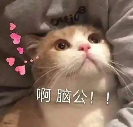  情侣万能聊天表情包老子的爱收好