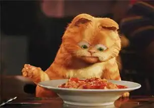  猫咪拉不出屎,猫咪表情痛苦拉不出屎