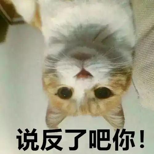  雷希颖自称神蛆浪人鼠人,一场抹黑中国的大翻译运动开始了