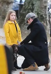 小七哈珀表情包塞文