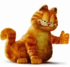 加菲猫表情包小视频夏天