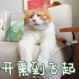  被绿了当然选择原谅啊每日轻松一刻4月19日午间版