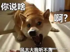认怂表情包老婆