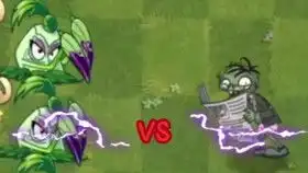  植物大战僵尸2pvz2暑期礼包兑换码