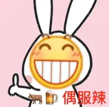 龇牙表情包真人