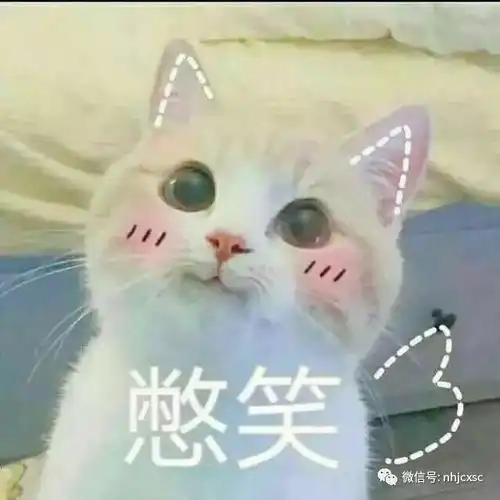 叮你有一份中秋留校指南待查收 叮你有一份中秋留校指南待查收