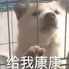  一组很骚的萌宠表情包这里,难受