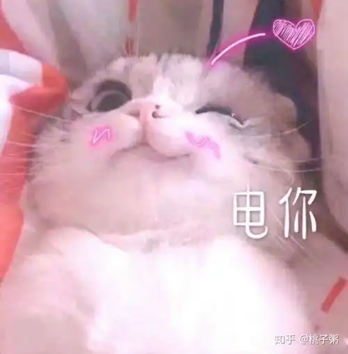  天朝配音圈有那些甜鼾cp
