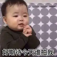 情侣表情包一对拍一拍