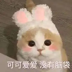 真的假的可爱表情包