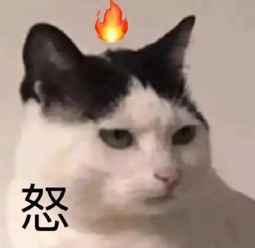  表情包喵咪表情包你的小宝贝饿了